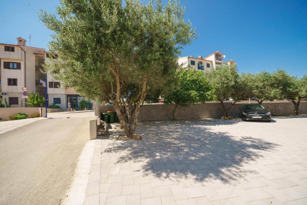 Apartments Dobrenic Vodice Dış mekan fotoğraf